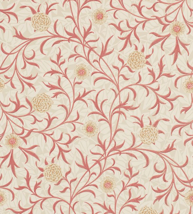 Scroll Wallpaper - Pink 