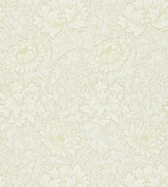 Chrysanthemum Wallpaper - White