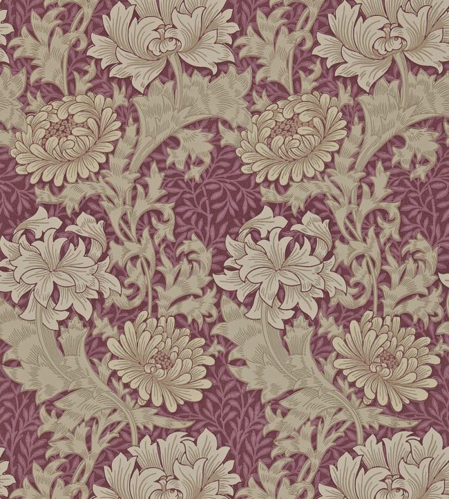 Chrysanthemum Wallpaper - Purple