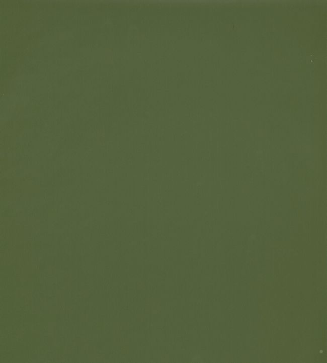 Uni Wallpaper - Green