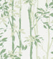 Beechgrove Wallpaper - Green