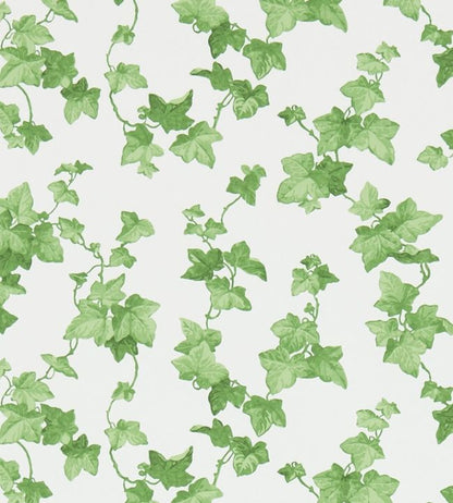 Hedera Wallpaper - Green