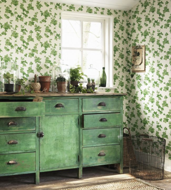 Hedera Room Wallpaper 2 - Green