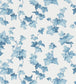 Hedera Wallpaper - Blue