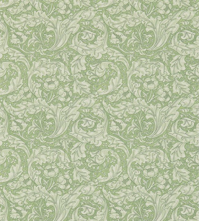 Bachelors Button Wallpaper - Green