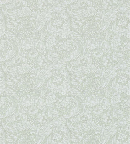Bachelors Button Wallpaper - Gray