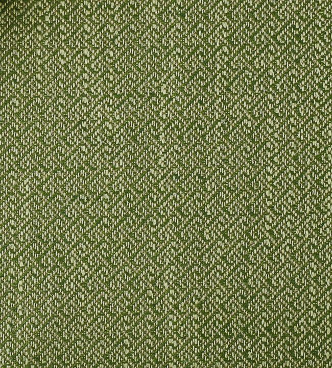 Xara Fabric - Green 