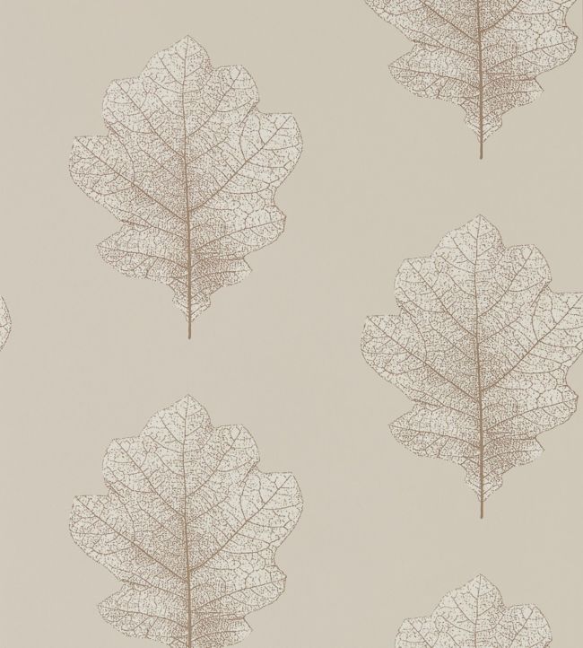 Oak Filigree Wallpaper - Cream 