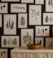 Fern Gallery Room Wallpaper - Sand
