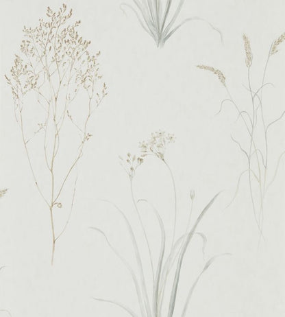 Farne Grasses Wallpaper - Gray