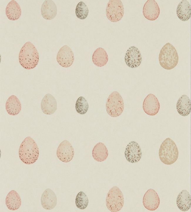 Nest Egg Wallpaper - Cream 