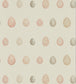 Nest Egg Wallpaper - Cream 