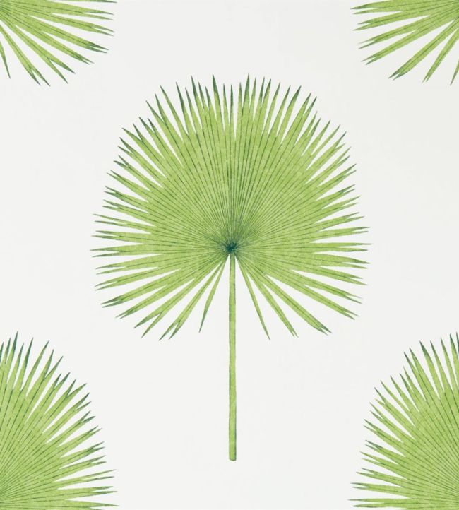 Fan Palm Wallpaper - Green