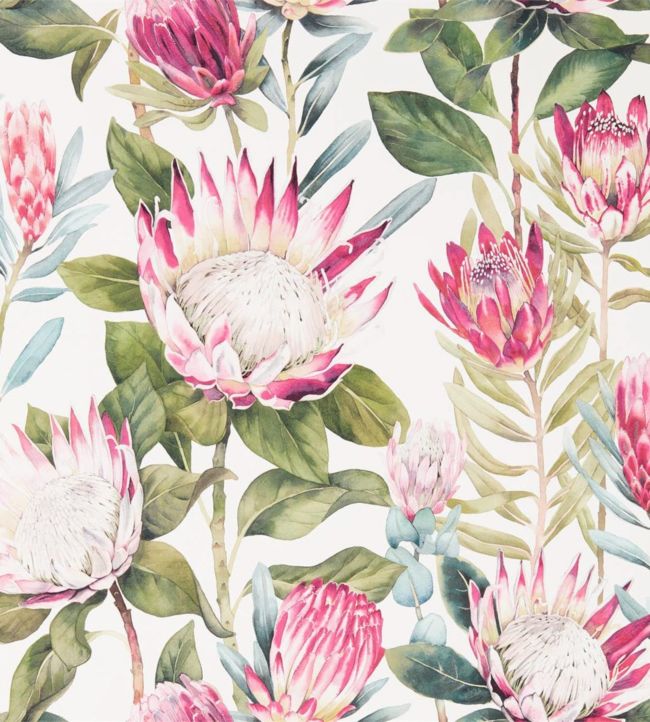 King Protea Wallpaper - Pink