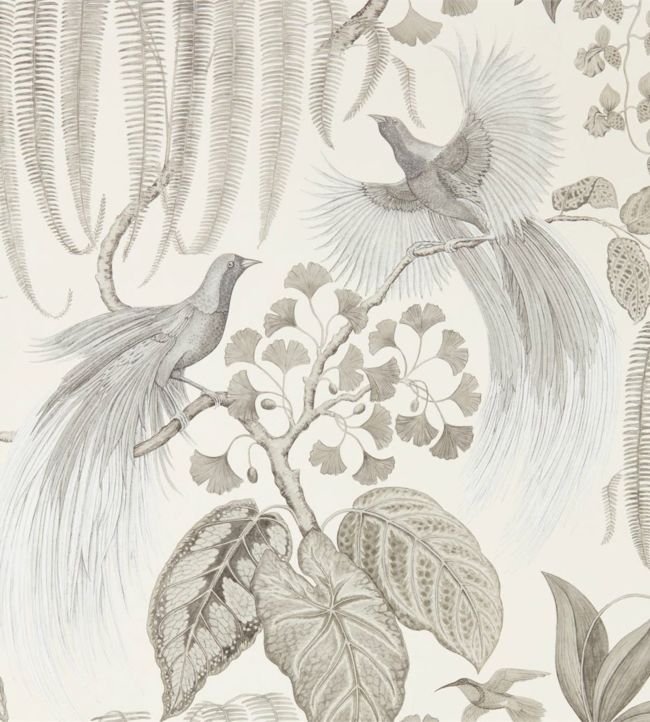 Bird Of Paradise Wallpaper - Gray
