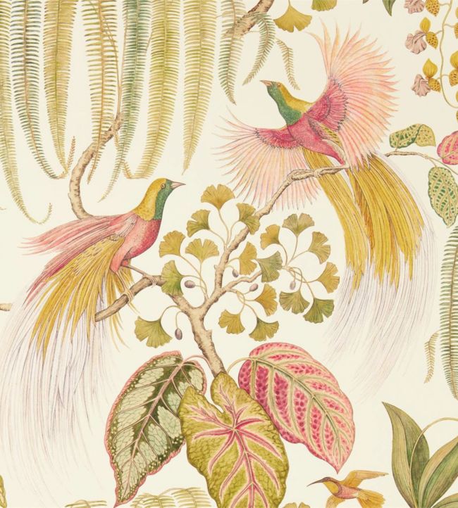 Bird Of Paradise Wallpaper - Pink