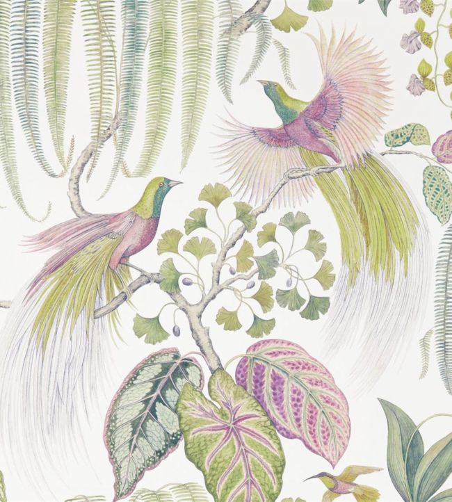 Bird Of Paradise Wallpaper - Purple