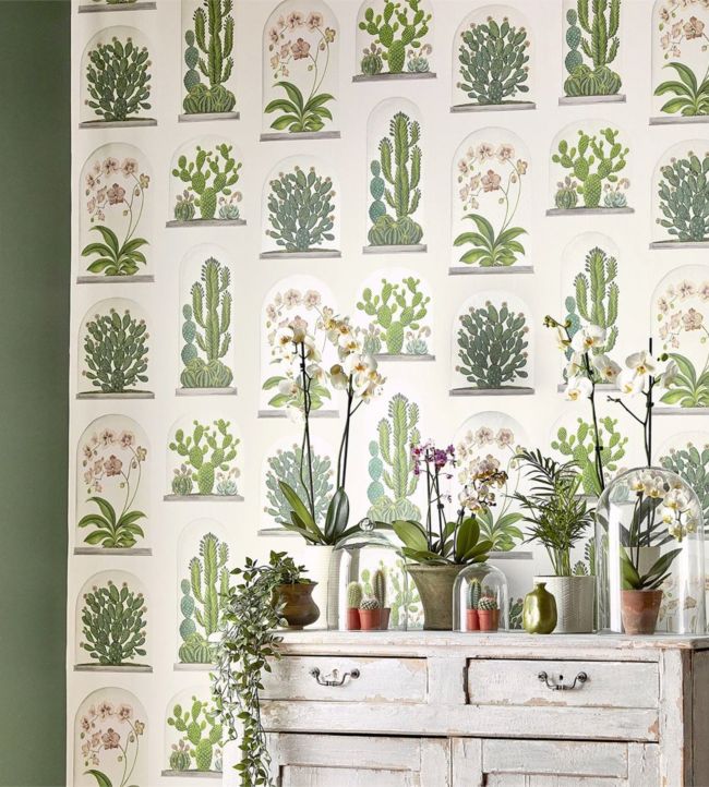 Terrariums Room Wallpaper - Green