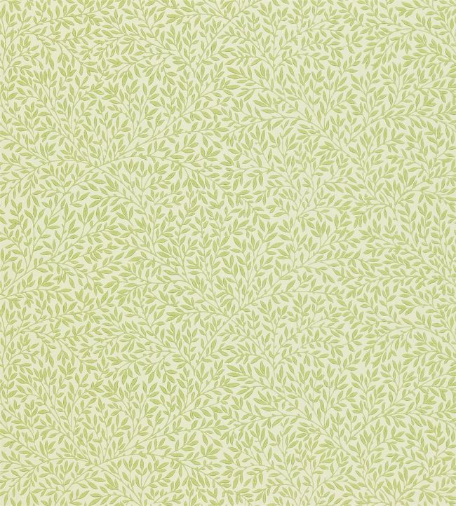 Standen Wallpaper - Green