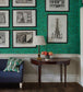 Bachelors Button Room Wallpaper - Green