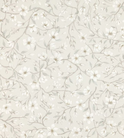 Sakura Wallpaper - White