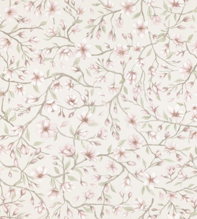 Sakura Wallpaper - Pink