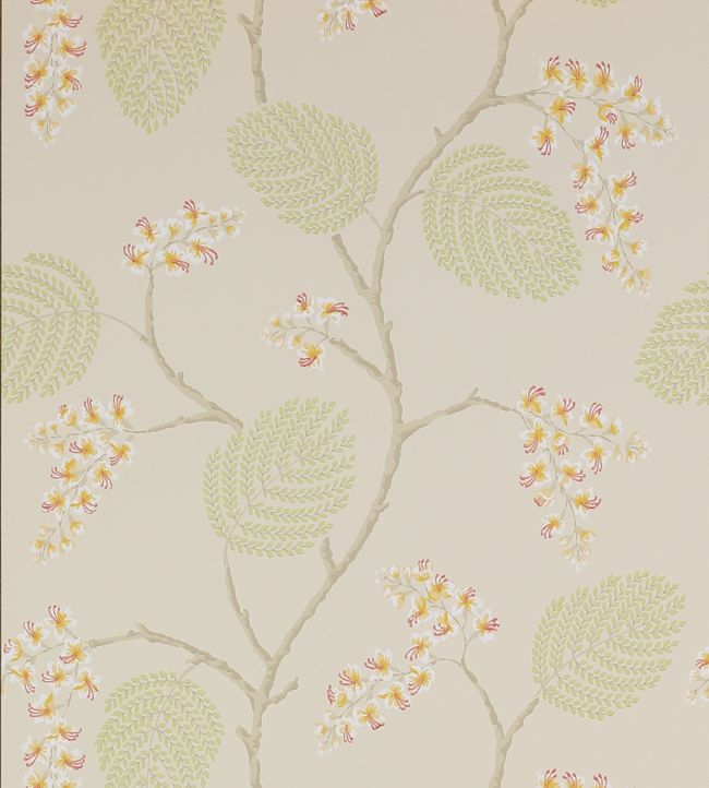 Atwood Wallpaper - Green - Colefax & Fowler