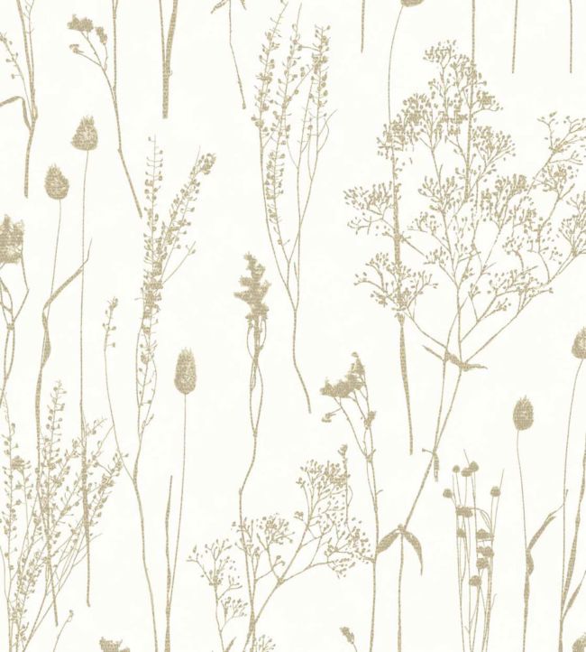 Delicate Botanicals Wallpaper - White 