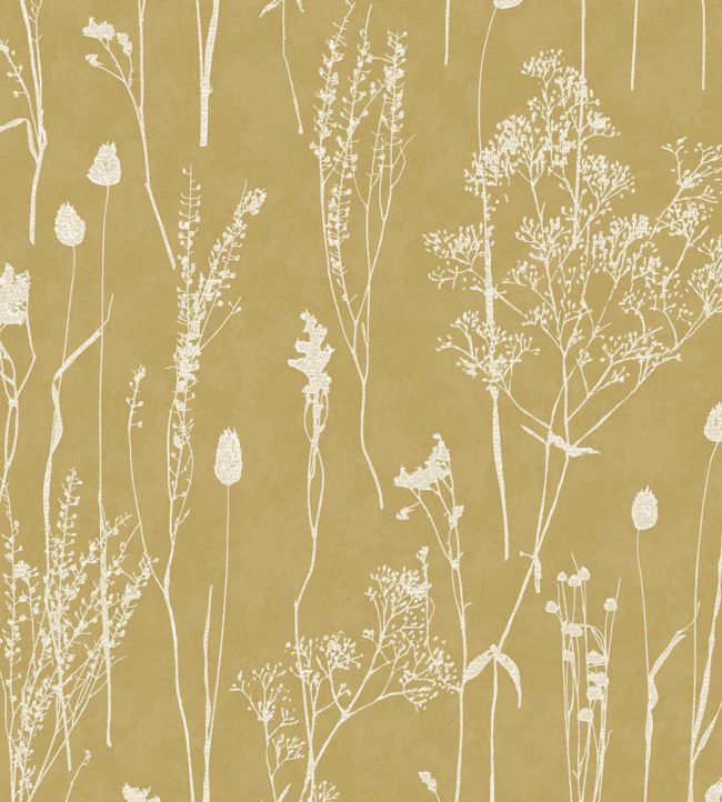 Delicate Botanicals Wallpaper - Sand 
