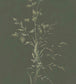 Botanical Watercolour Wallpaper - Gray