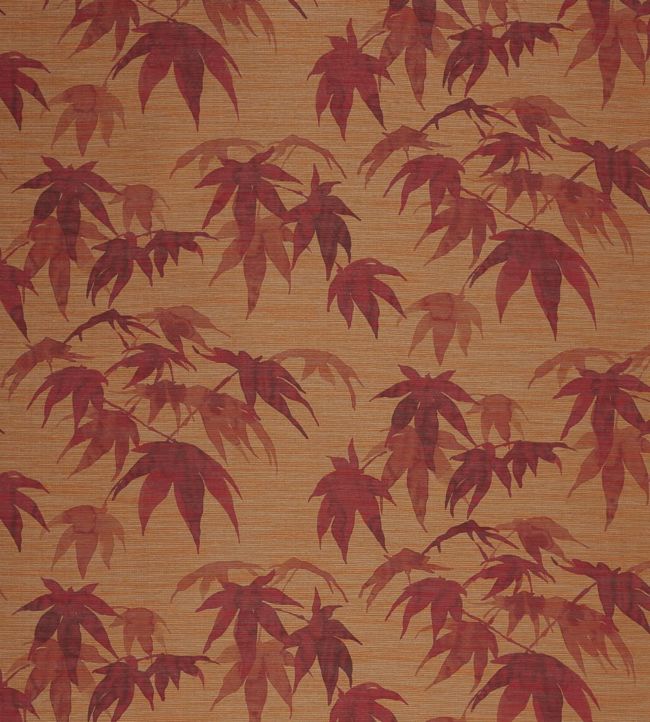 Acer Wallpaper - Orange - Zoffany