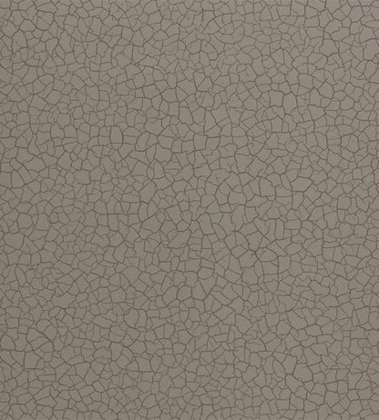 Cracked Earth Wallpaper - Gray