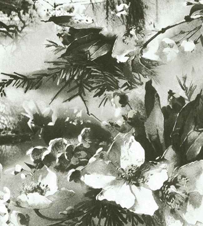 Brume Wallpaper - Green