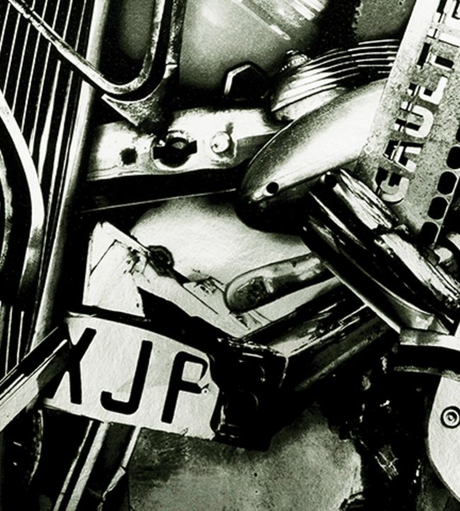 Cesar Wallpaper - Black