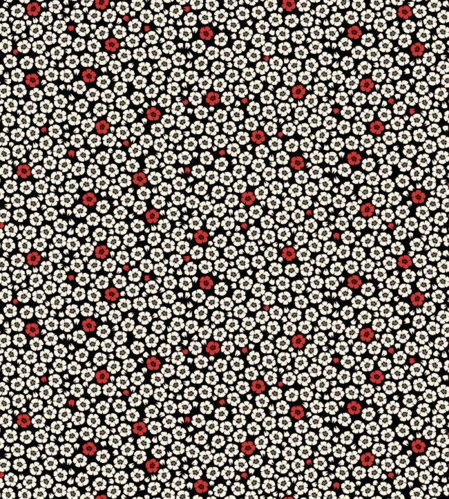 Coquelicot Wallpaper - Black 