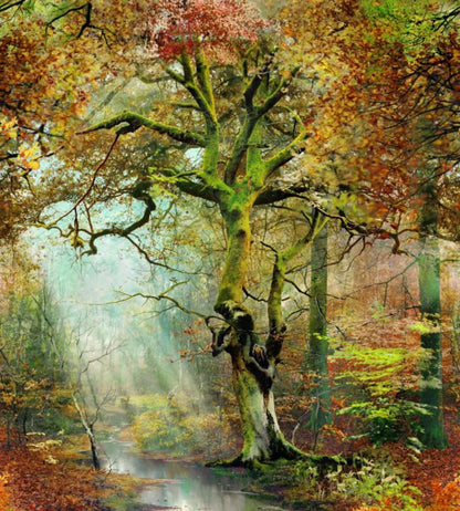 Sous Bois Wallpaper - Multicolor 