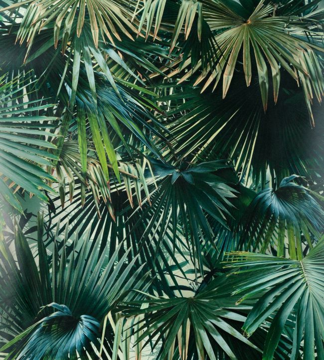 Polynesie Wallpaper - Green