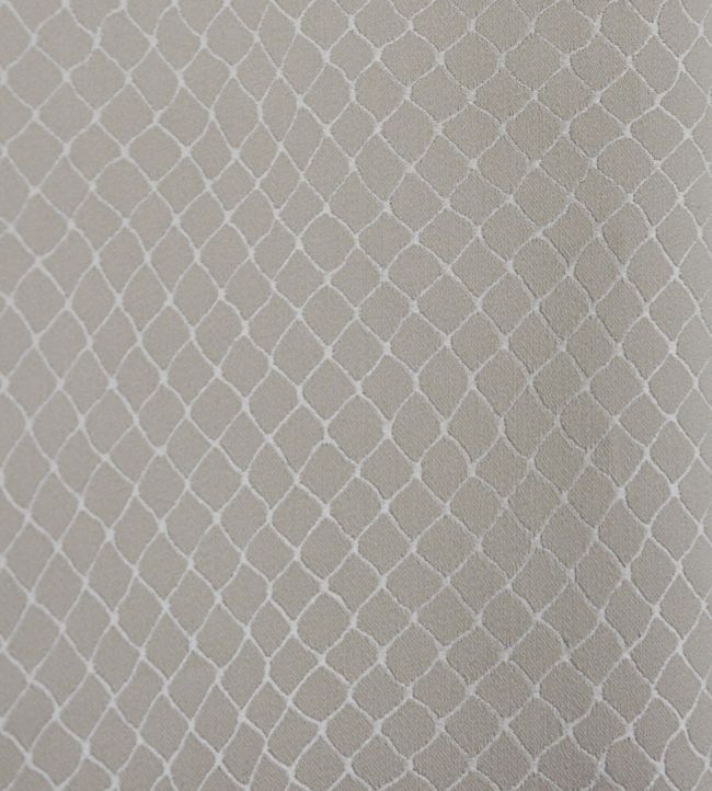 Cabaret Fabric - Gray 