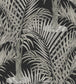 Palma Wallpaper - Black