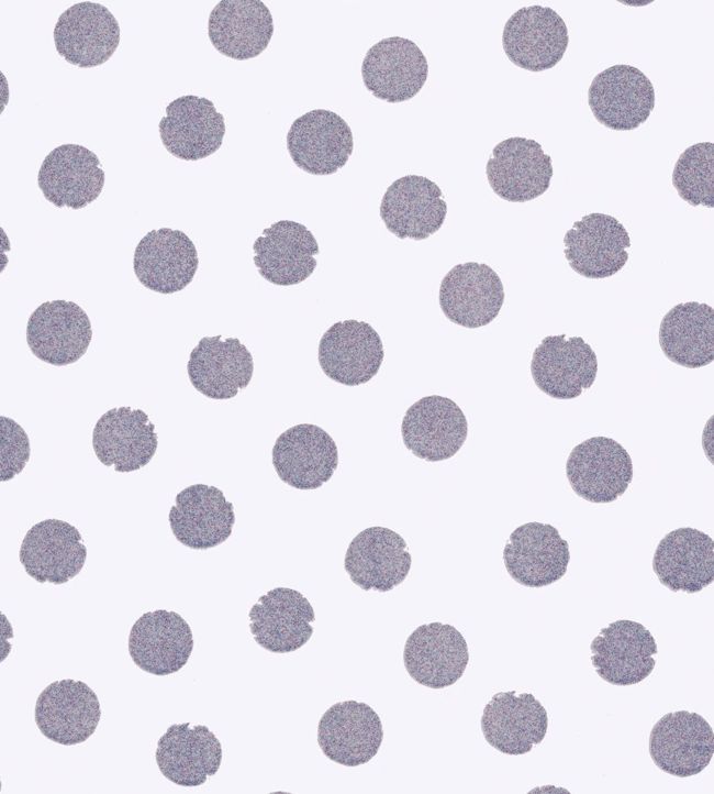 Dotted About Wallpaper - Purple