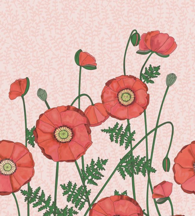 Popping Poppies Wallpaper - Pink