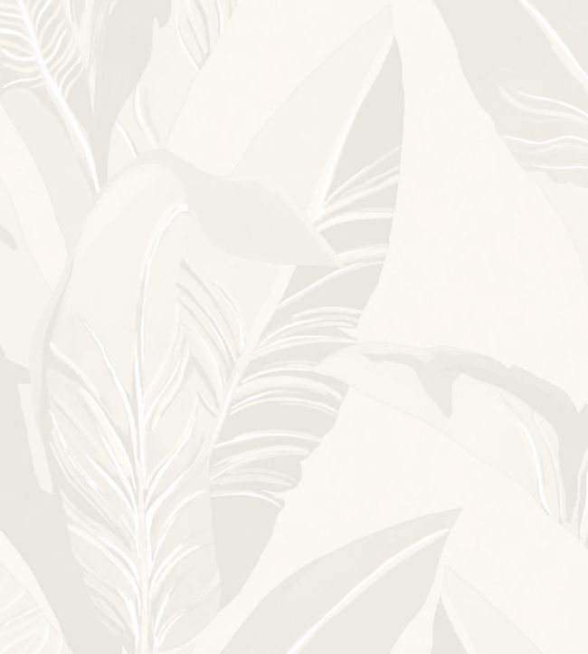 Tropical Leaves Wallpaper - White 