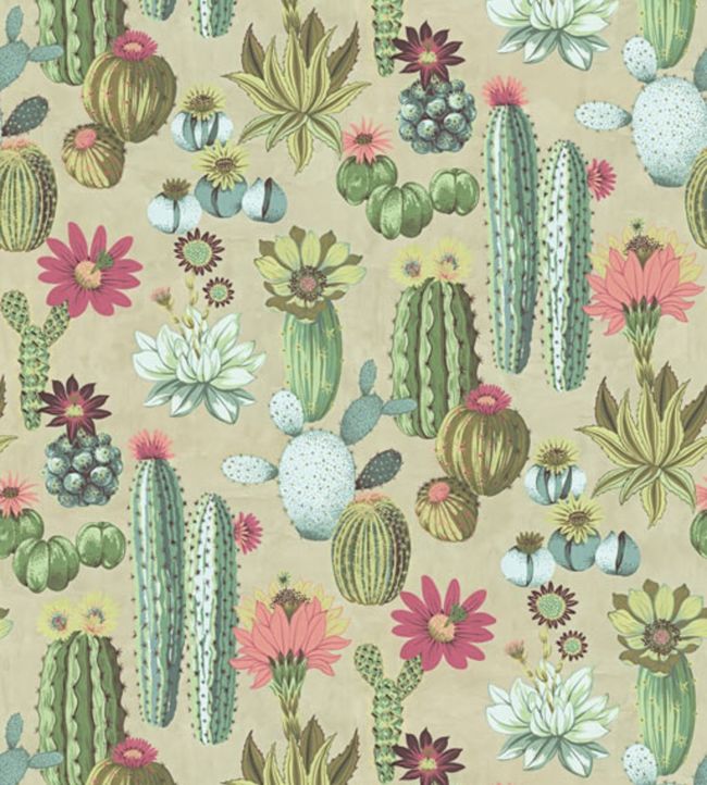 Cacti Wallpaper - Green