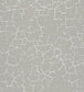 Crackle Wallpaper - Gray