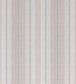 Surat Stripe Fabric - Pink 