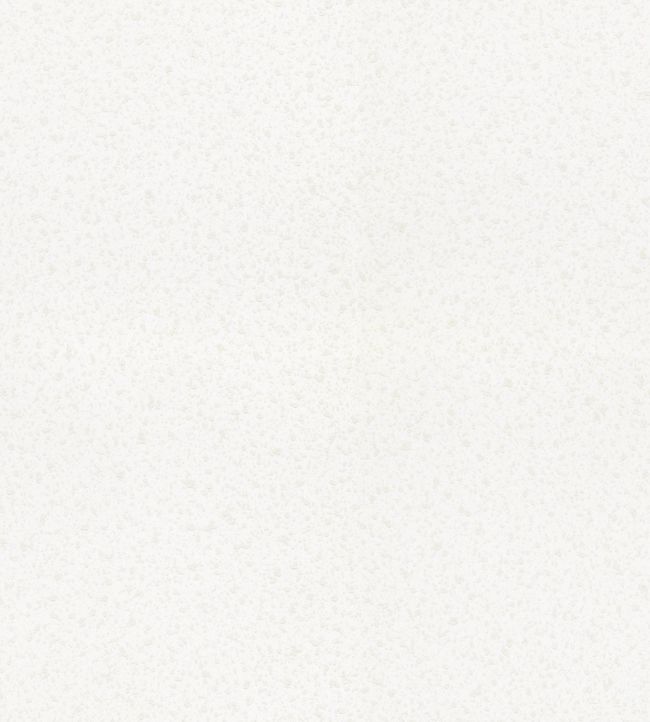 Knut Wallpaper - White