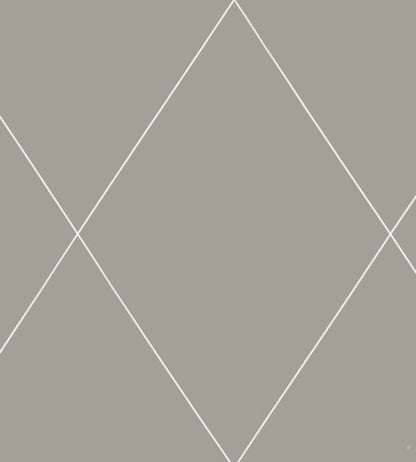 Robin Wallpaper - Gray 