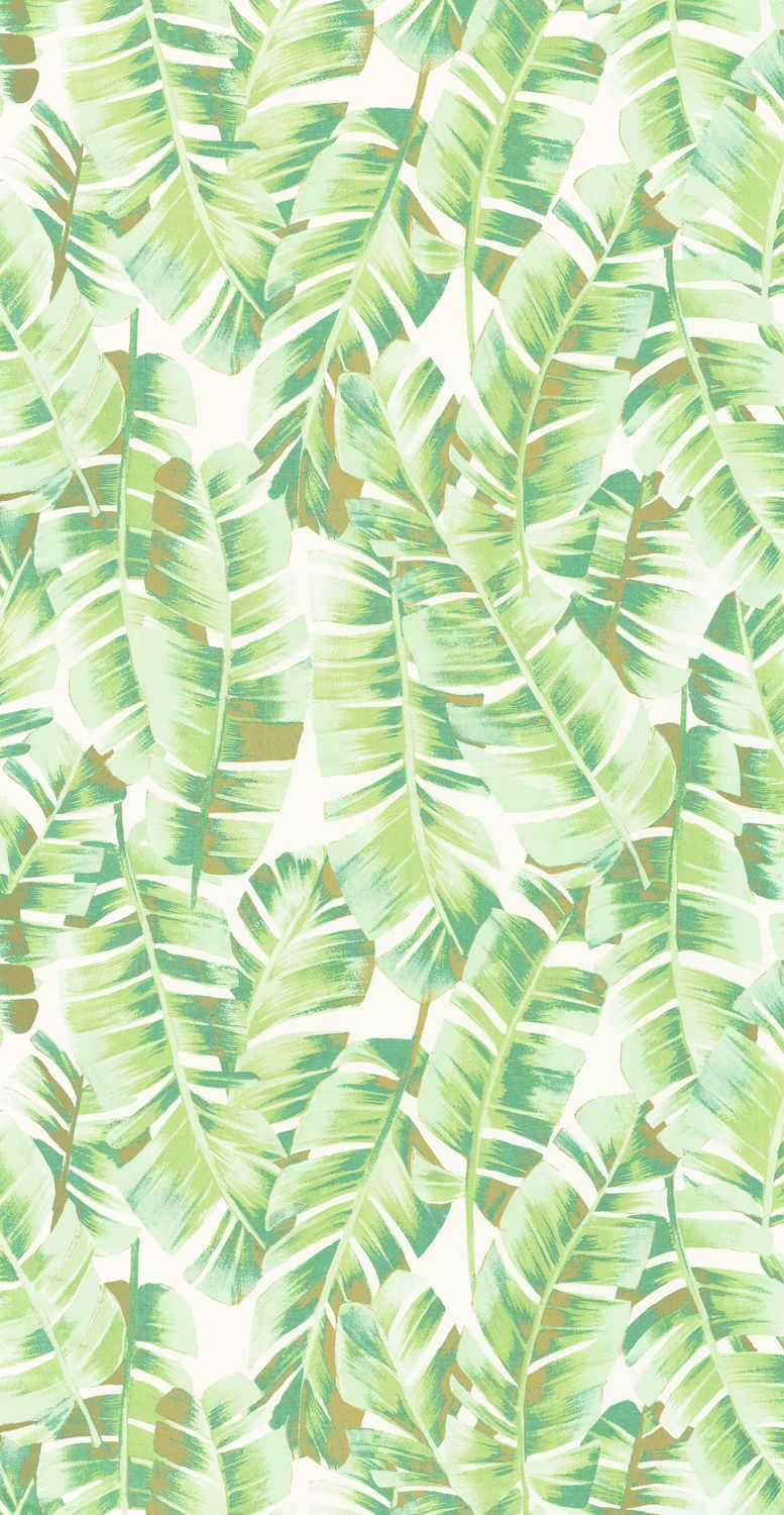 Folium Wallpaper - Green