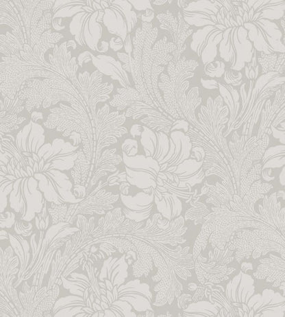Acanthus Wallpaper - Gray