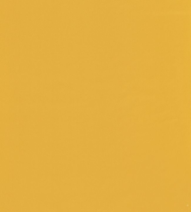 Uni Wallpaper - Yellow 